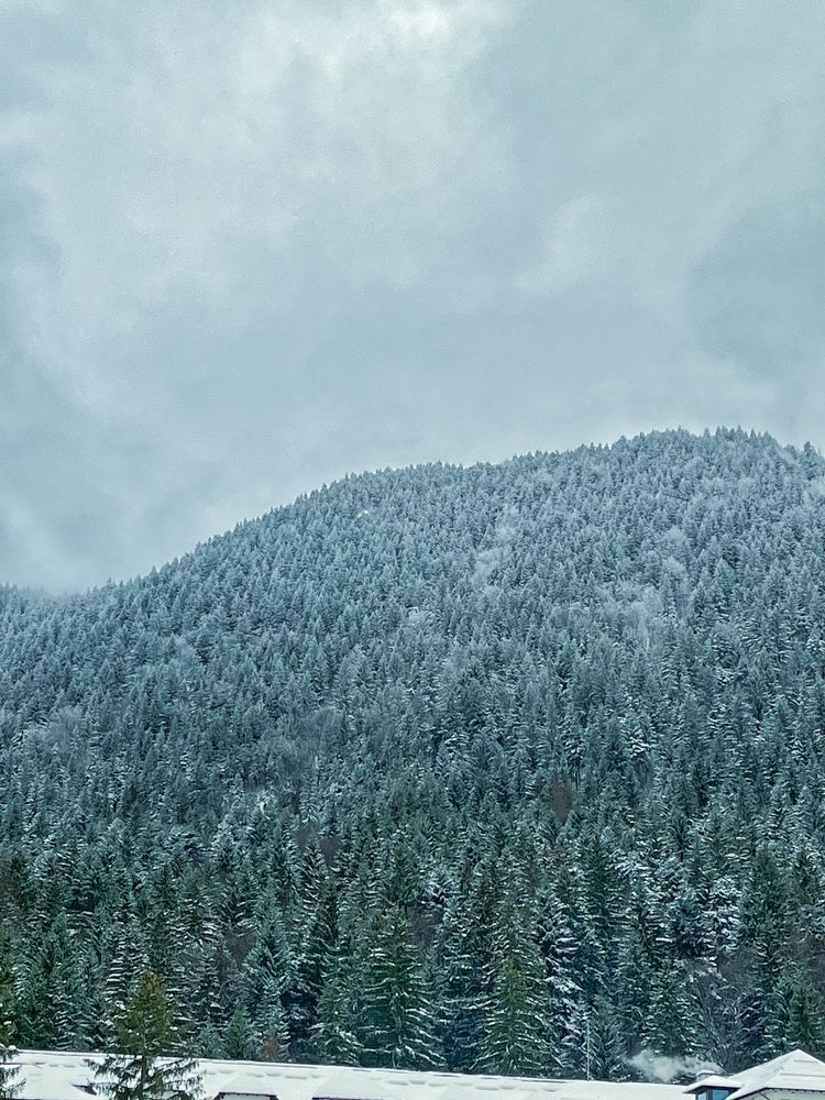 Photograph by Florentina-Adriana Vasilescu