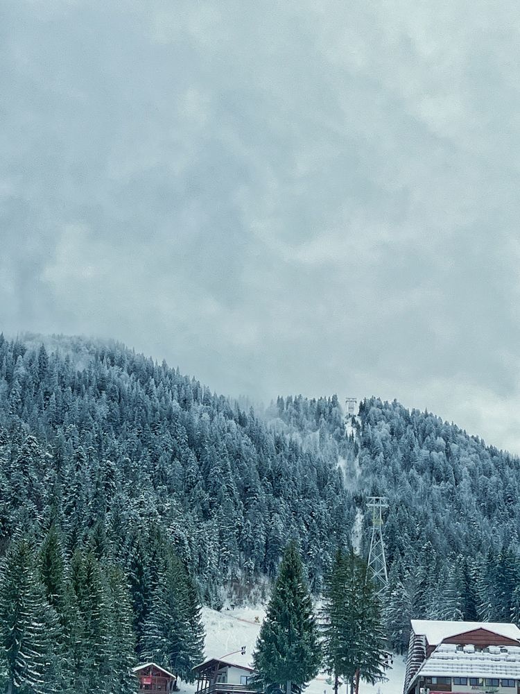 Photograph by Florentina-Adriana Vasilescu