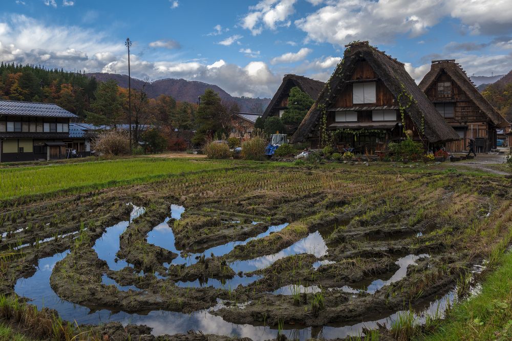 Photograph by Александр Журавлев