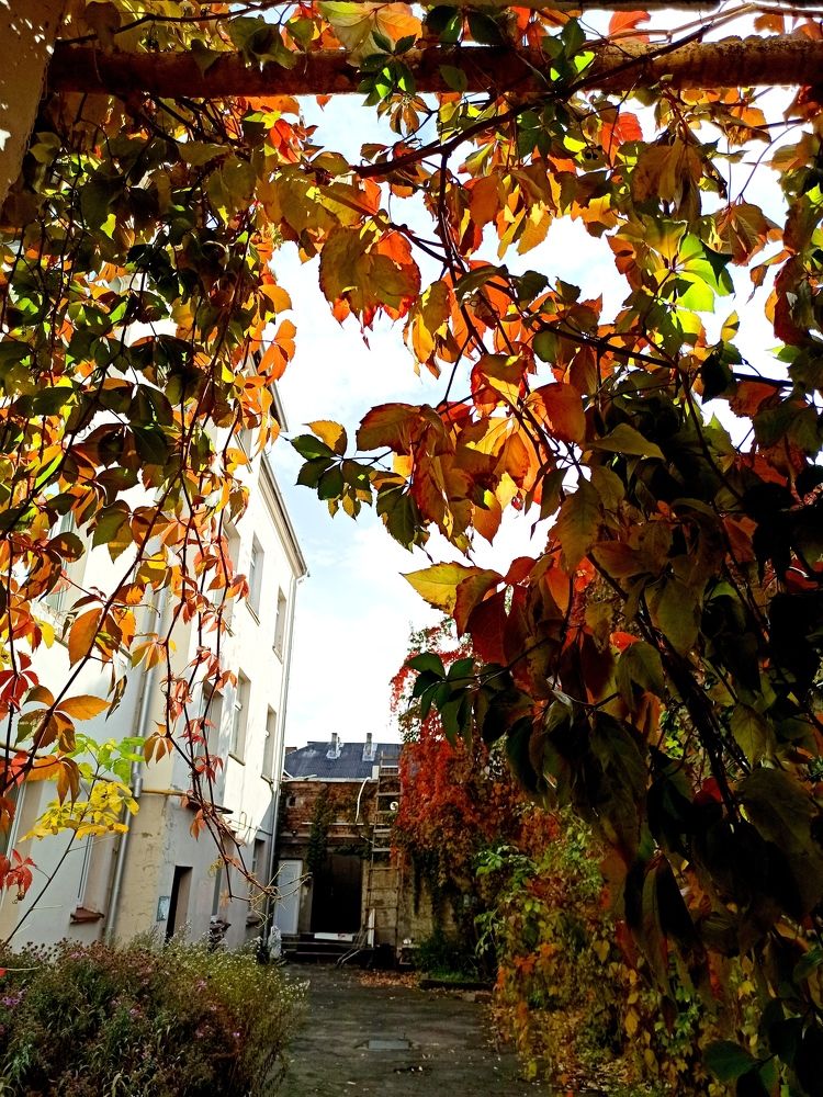 Photograph by Ирина Половцева