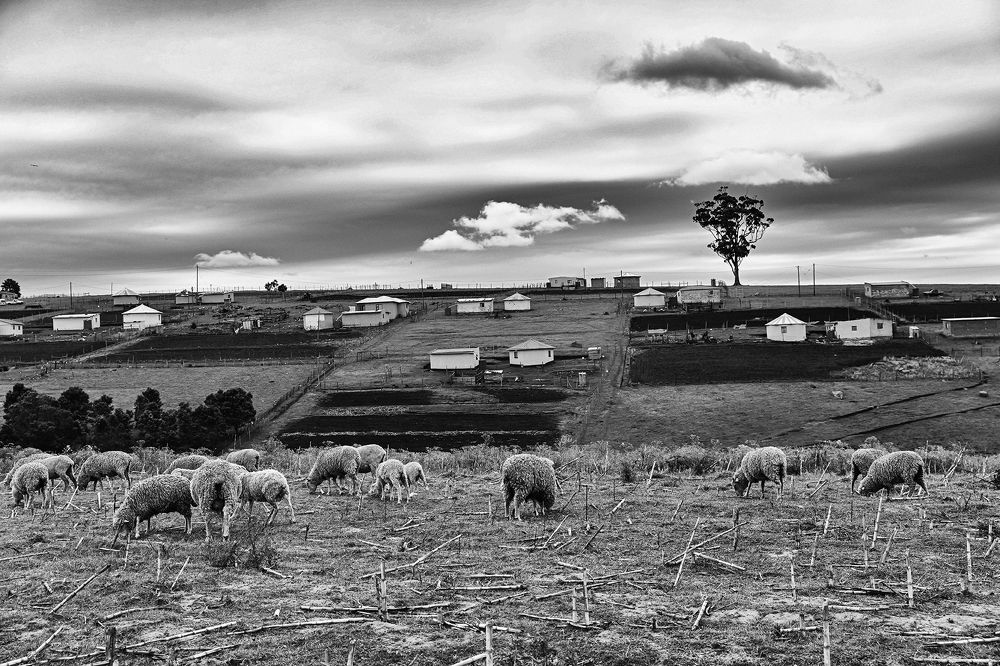 Photograph by Marcelo Argañaraz