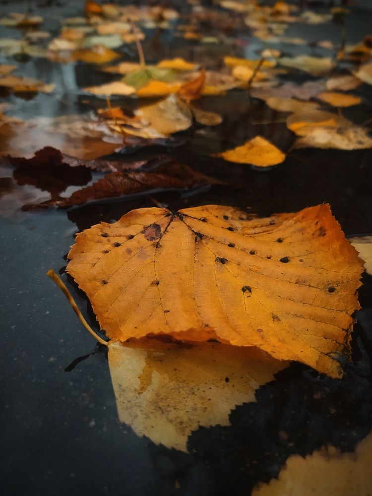 Photograph by Ирина Половцева