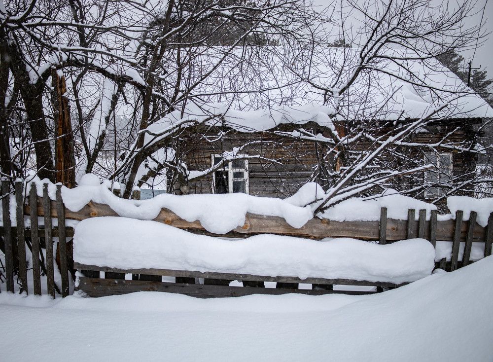 Photograph by Анастасия Карнаухова