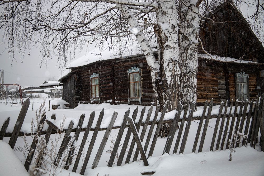 Photograph by Анастасия Карнаухова