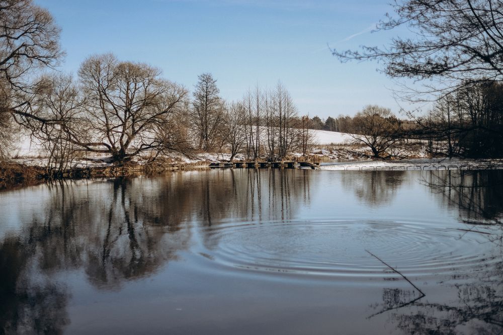 Photograph by Елена Копылова