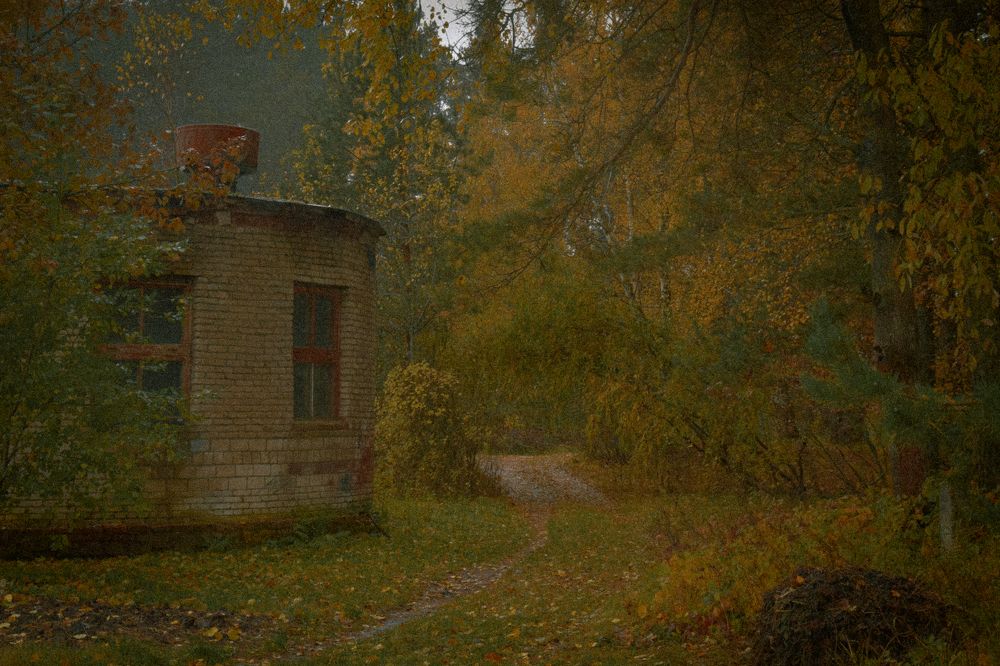 Фотография автора Ксения Вабищевич