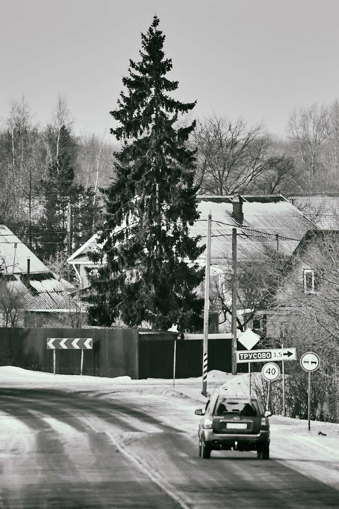 Photograph by Алексей Кочерыжкин