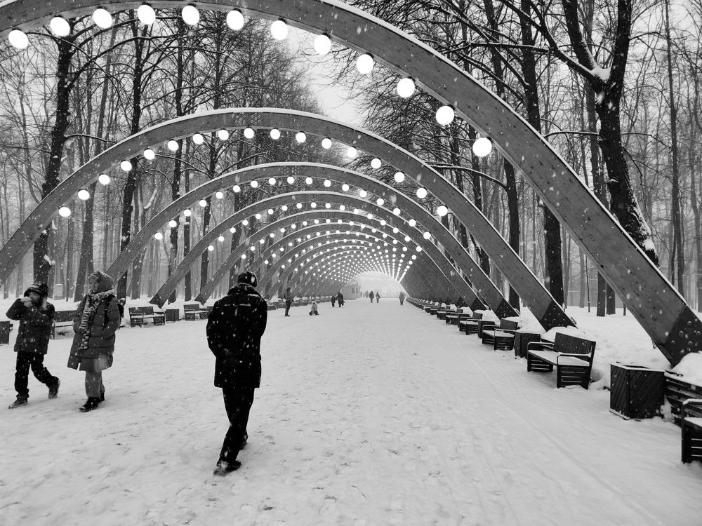 Photograph by Марина Моссий