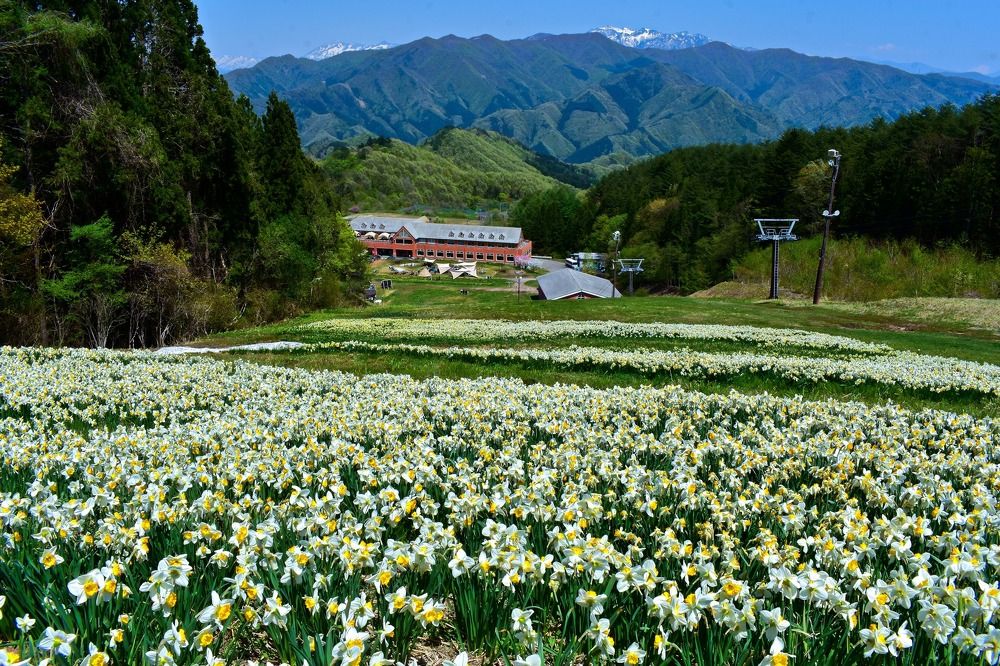 Фотография автора Sen Abhijit