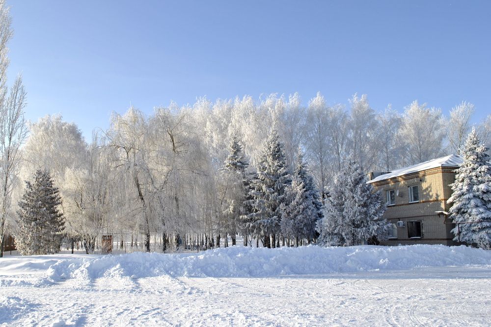 Photograph by Людмила Прибылова