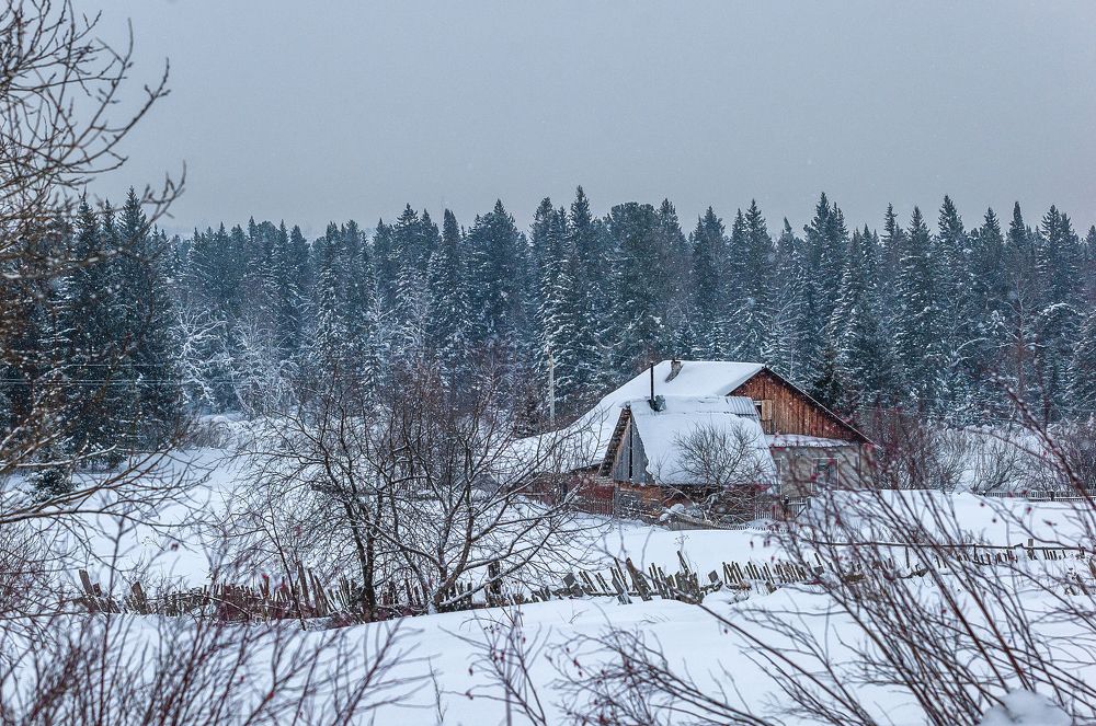 Photograph by Виктор Садырин
