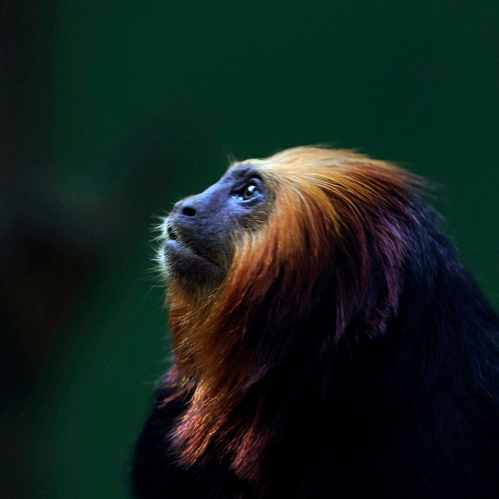 Фотография автора Clement Roy