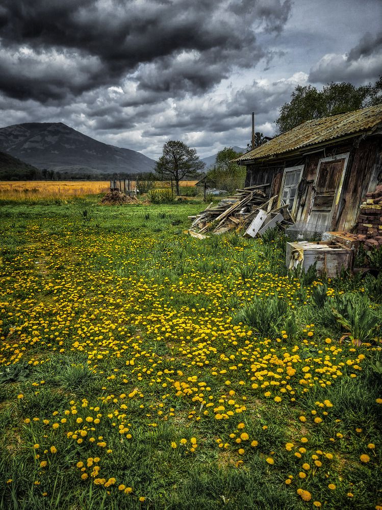 Photograph by Наталья Чередниченко