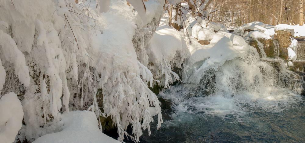 Фотография автора Рита Науменко