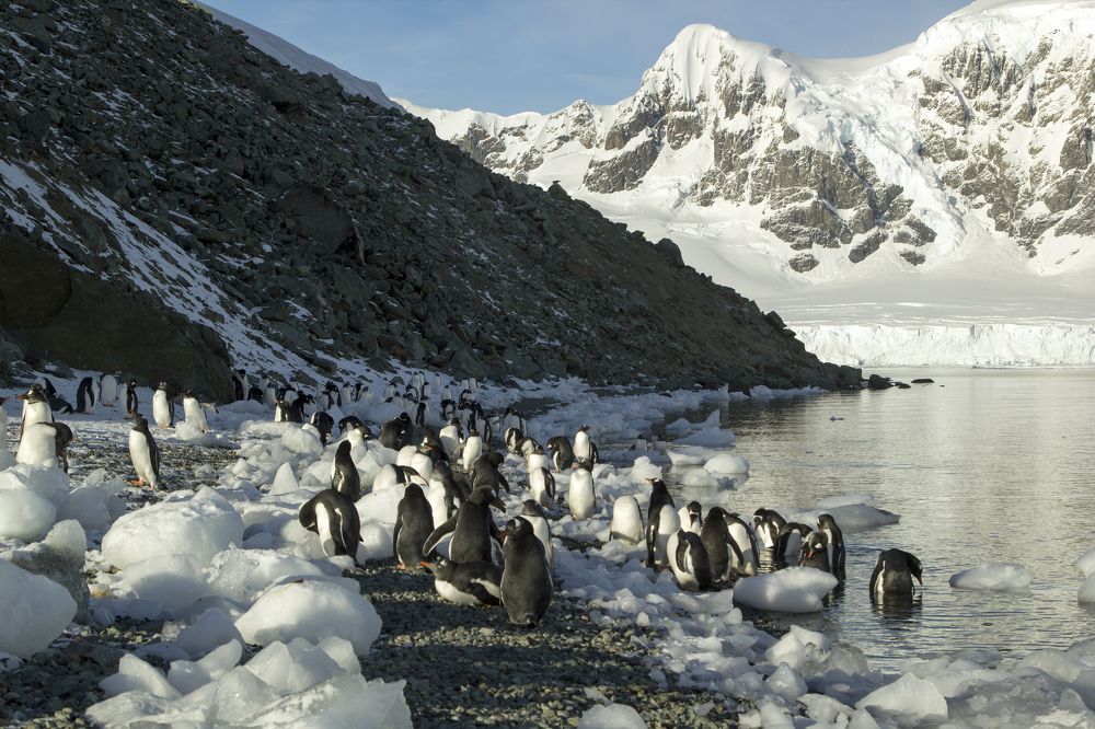 Фотография автора Subir Ghosh