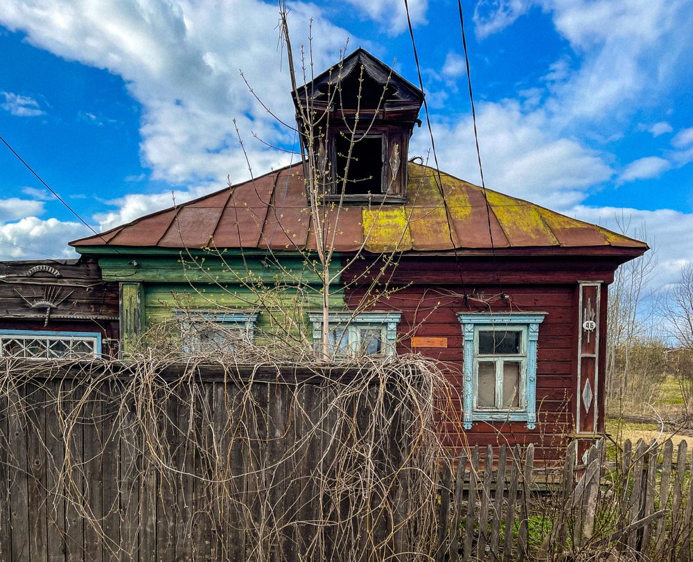 Photograph by Волкова Полина