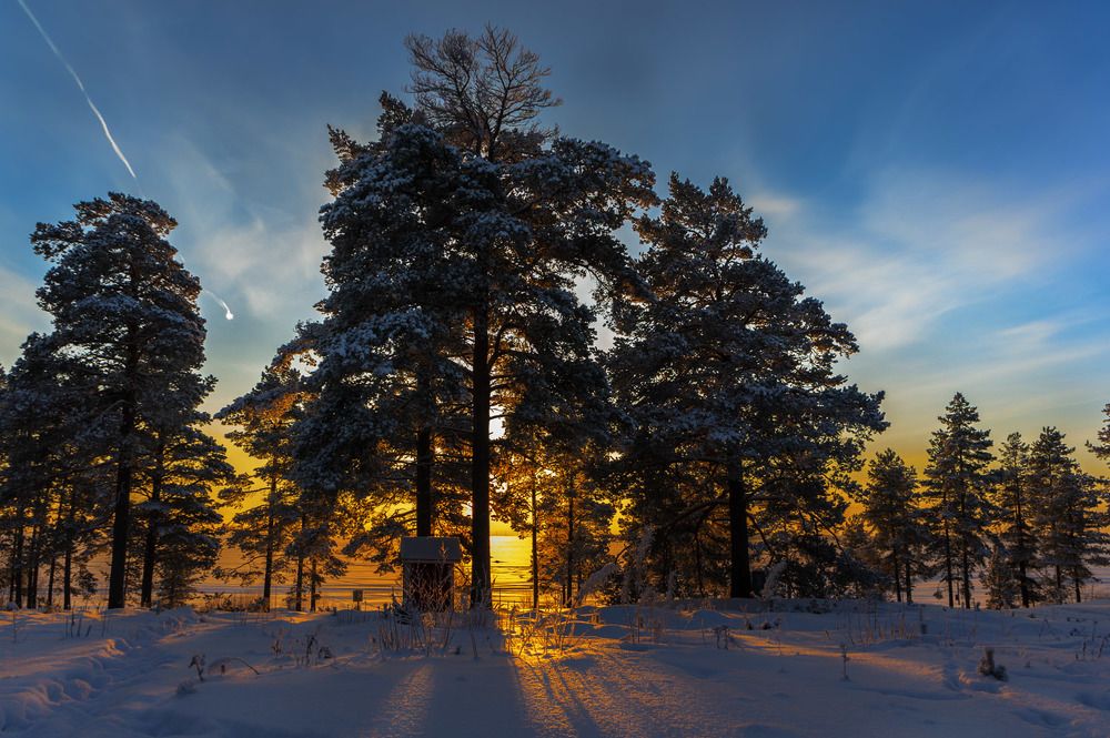 На берегу озера