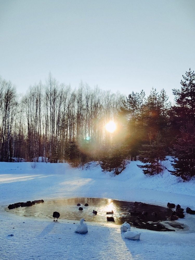 Photograph by Ольга Чибисова