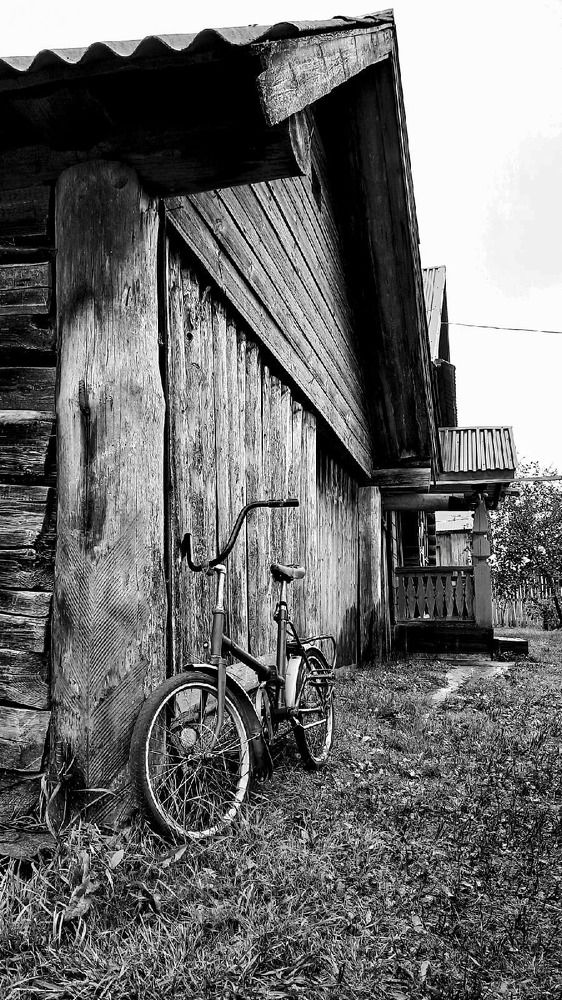 Photograph by Ольга Чибисова