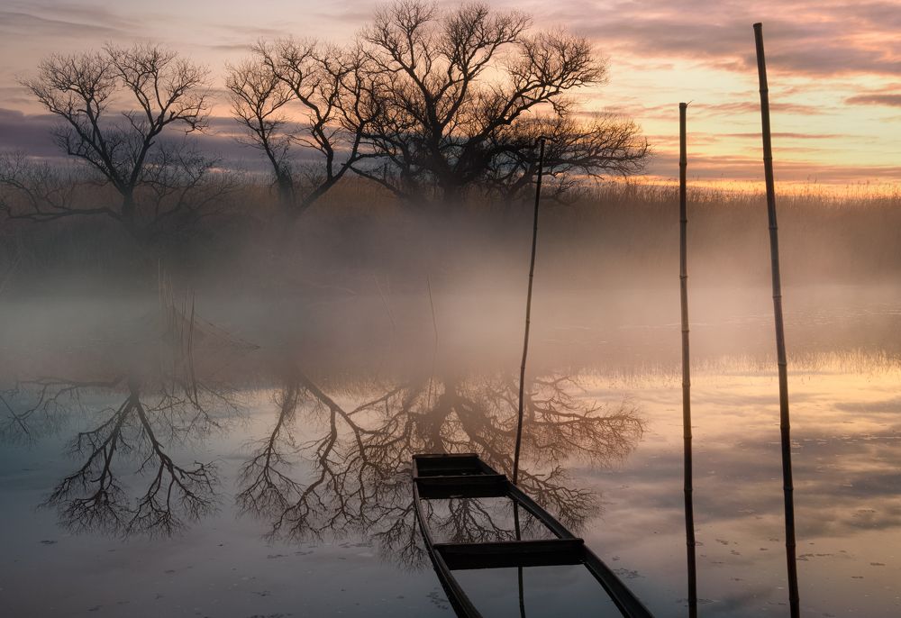 Photograph by S KENjiro