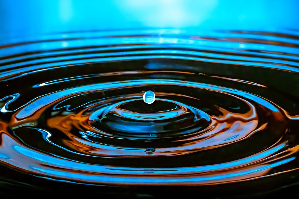 Photograph by Anas Shalash