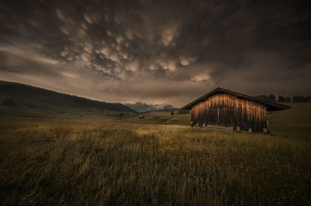 Photograph by Stefano Gelli