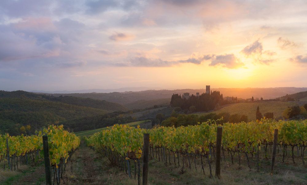 Photograph by Stefano Gelli