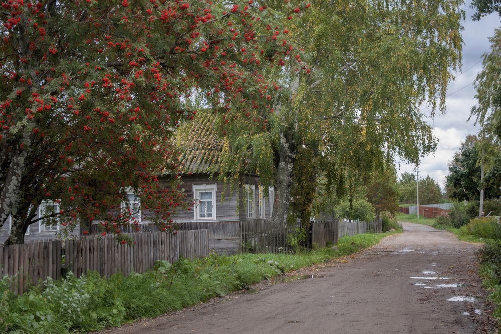 Photograph by Svetlana Rizzo