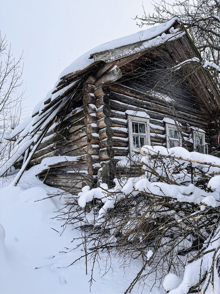 Photograph by Татьяна Зенина