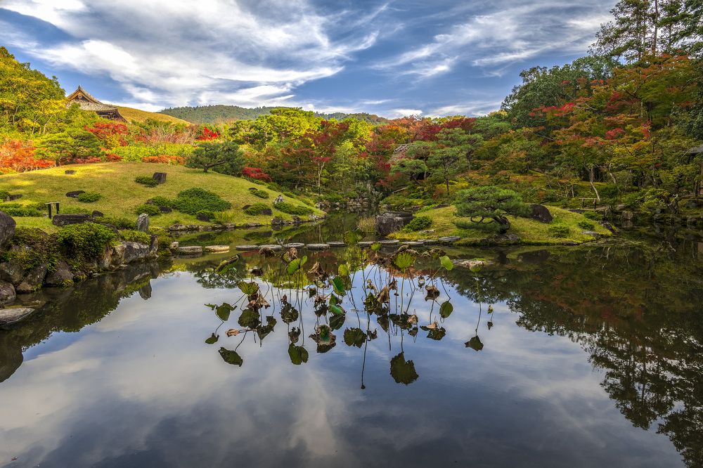 Photograph by Александр Журавлев