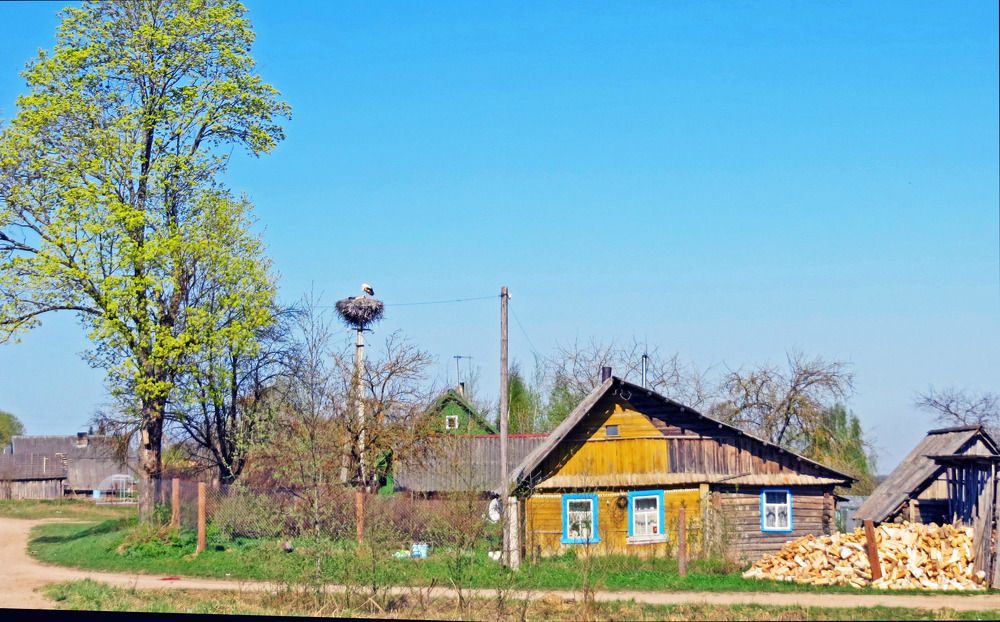 Photograph by Мигун Александра