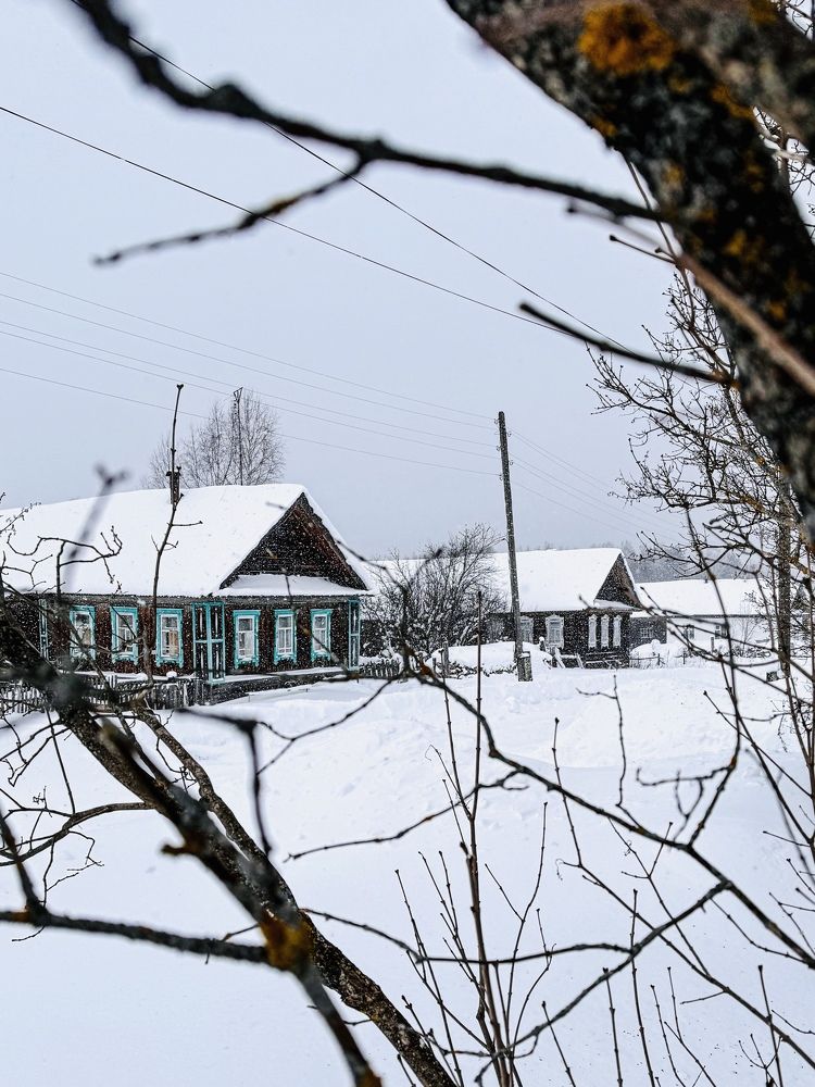 Photograph by Татьяна Зенина