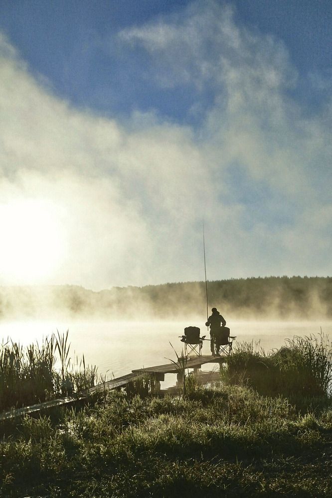 Photograph by Ольга Чибисова