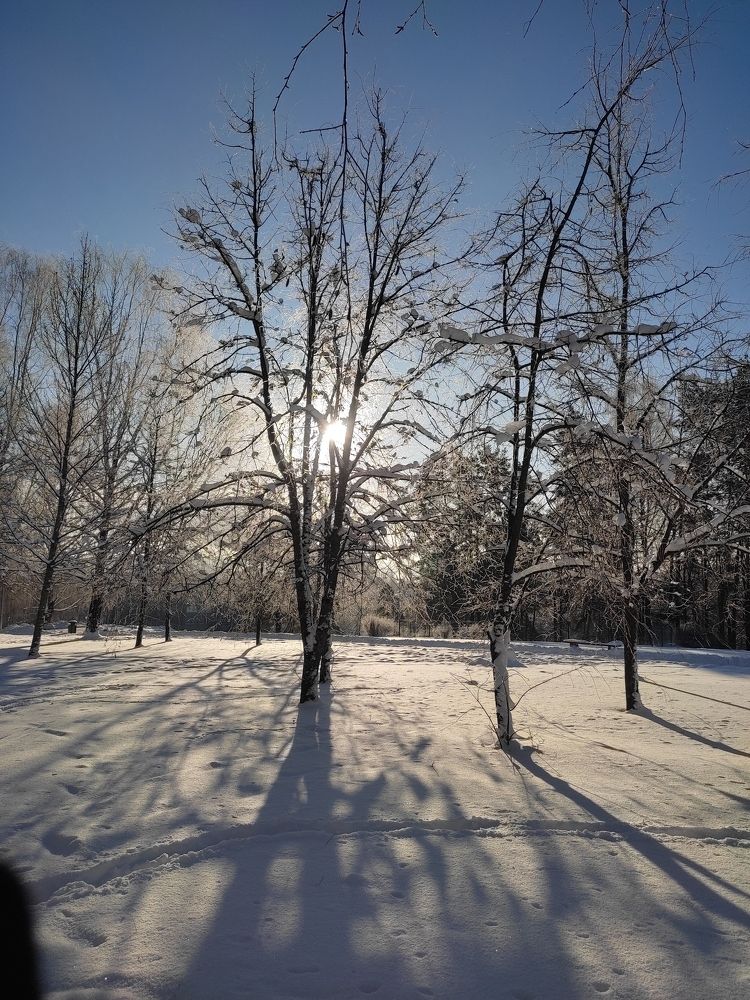 Пейзаж . Дневное время.