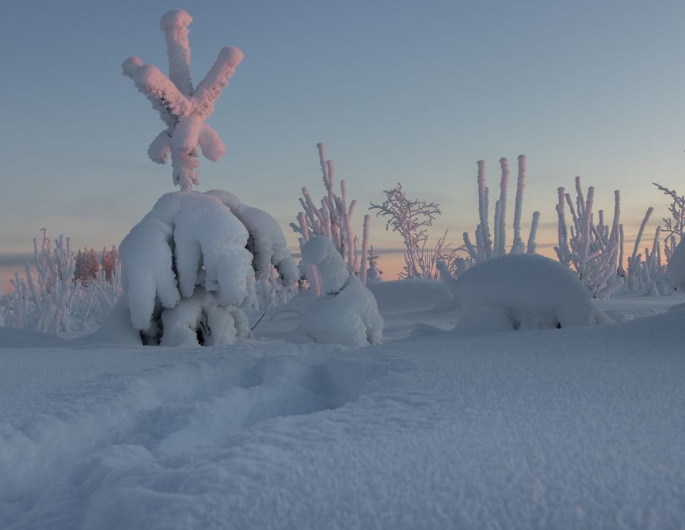 Photograph by Светлана Холодняк