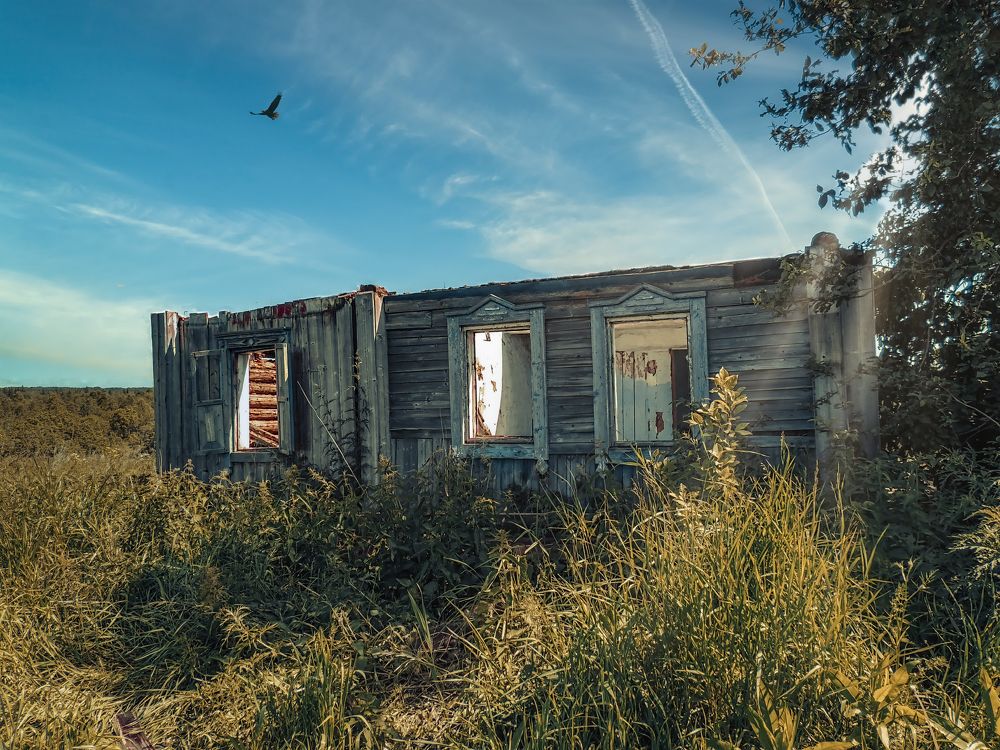 Photograph by Володин Андрей