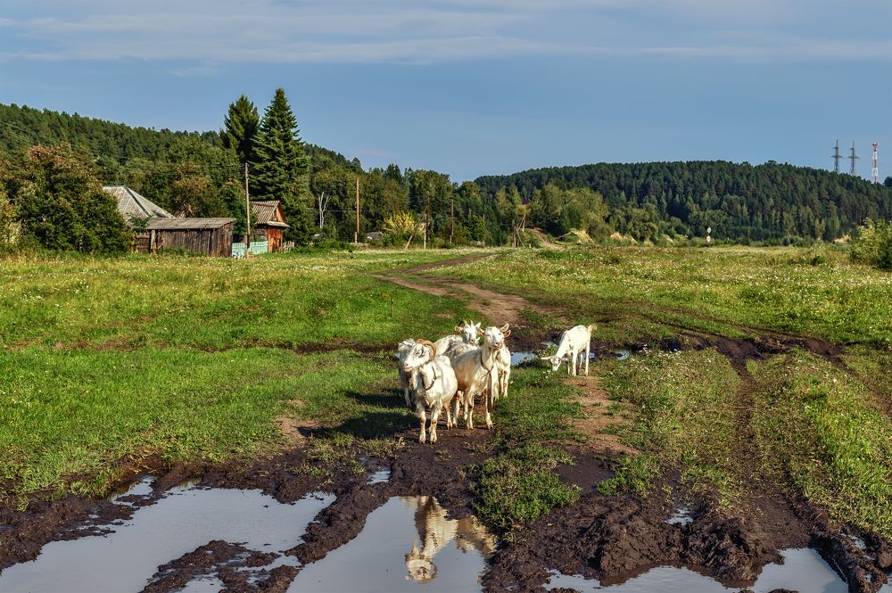 Photograph by сергей поспелов