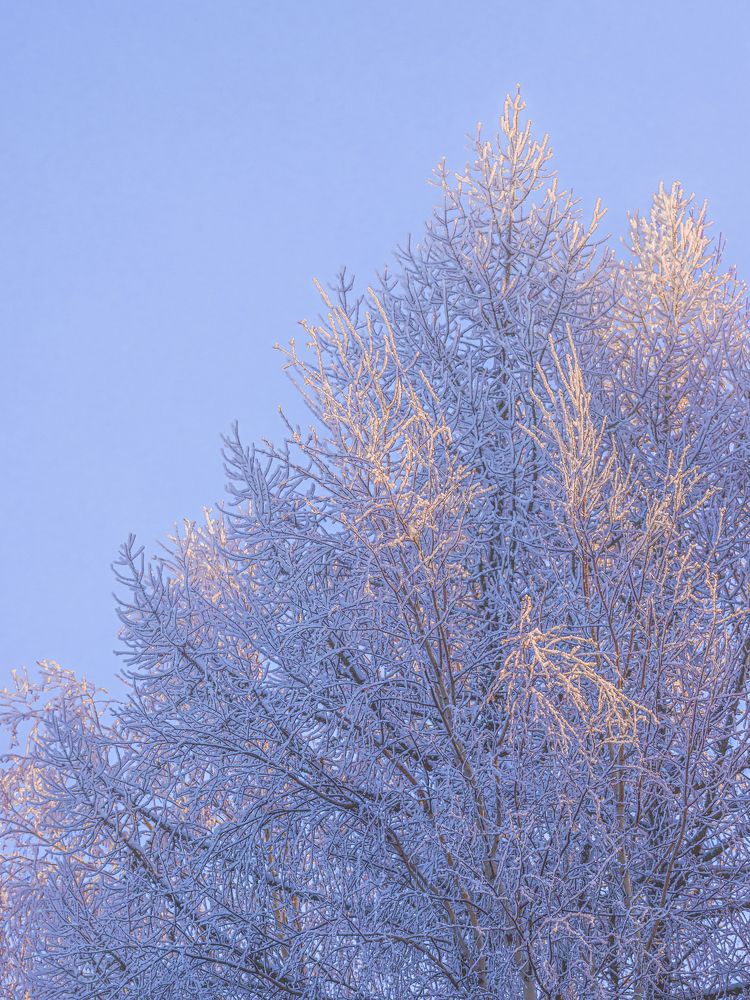 Photograph by Игорь Толкачев