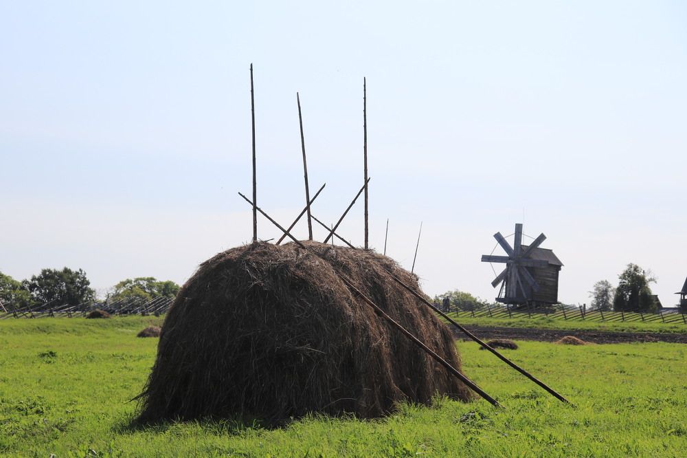 Photograph by Анна Цыганова