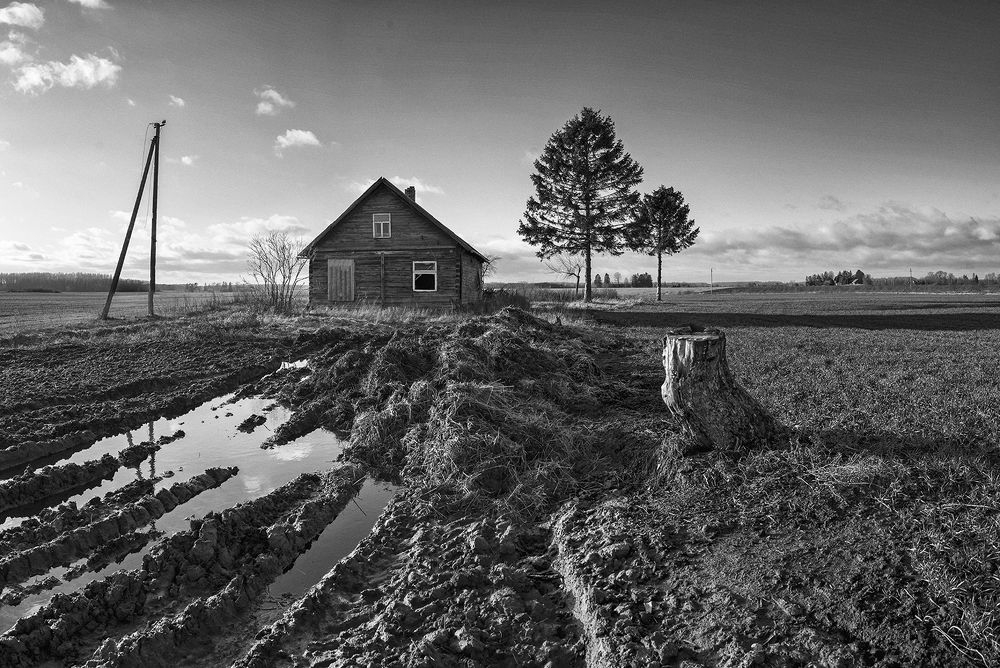 Фотография автора Eugenijus Rauduve