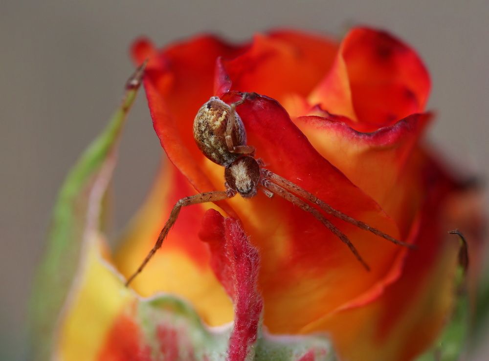 Photograph by Светлана Попкова