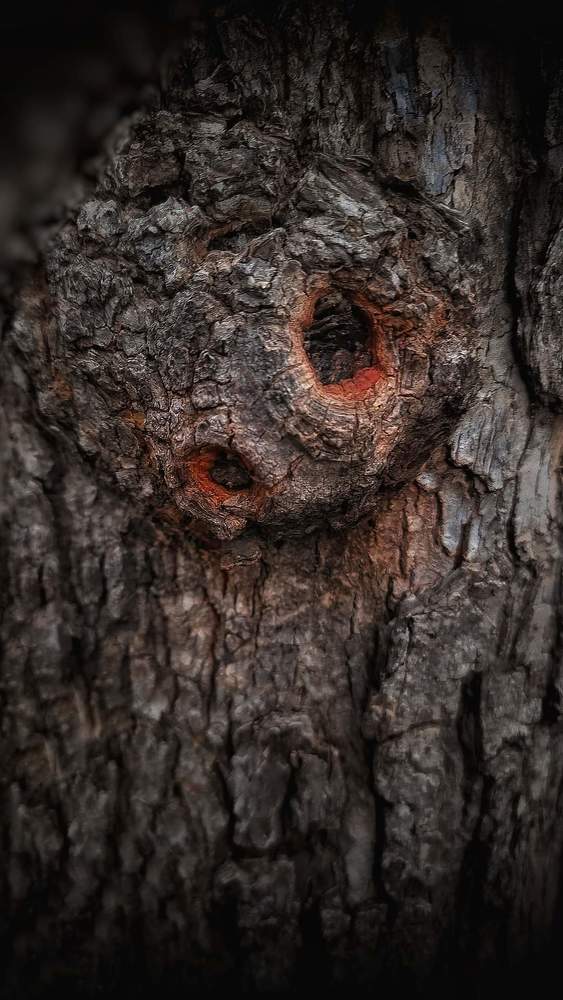 Photograph by Polina Svirida