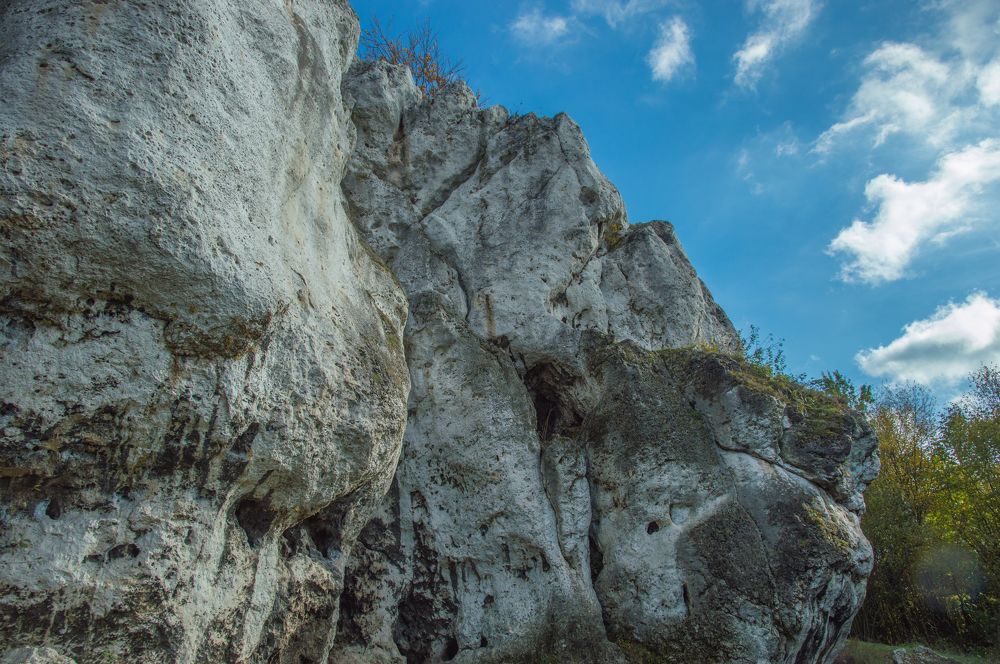 Photograph by Dariusz Gruszka