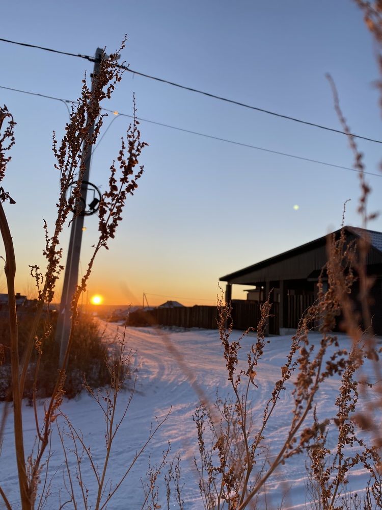 Photograph by Алина Соколова