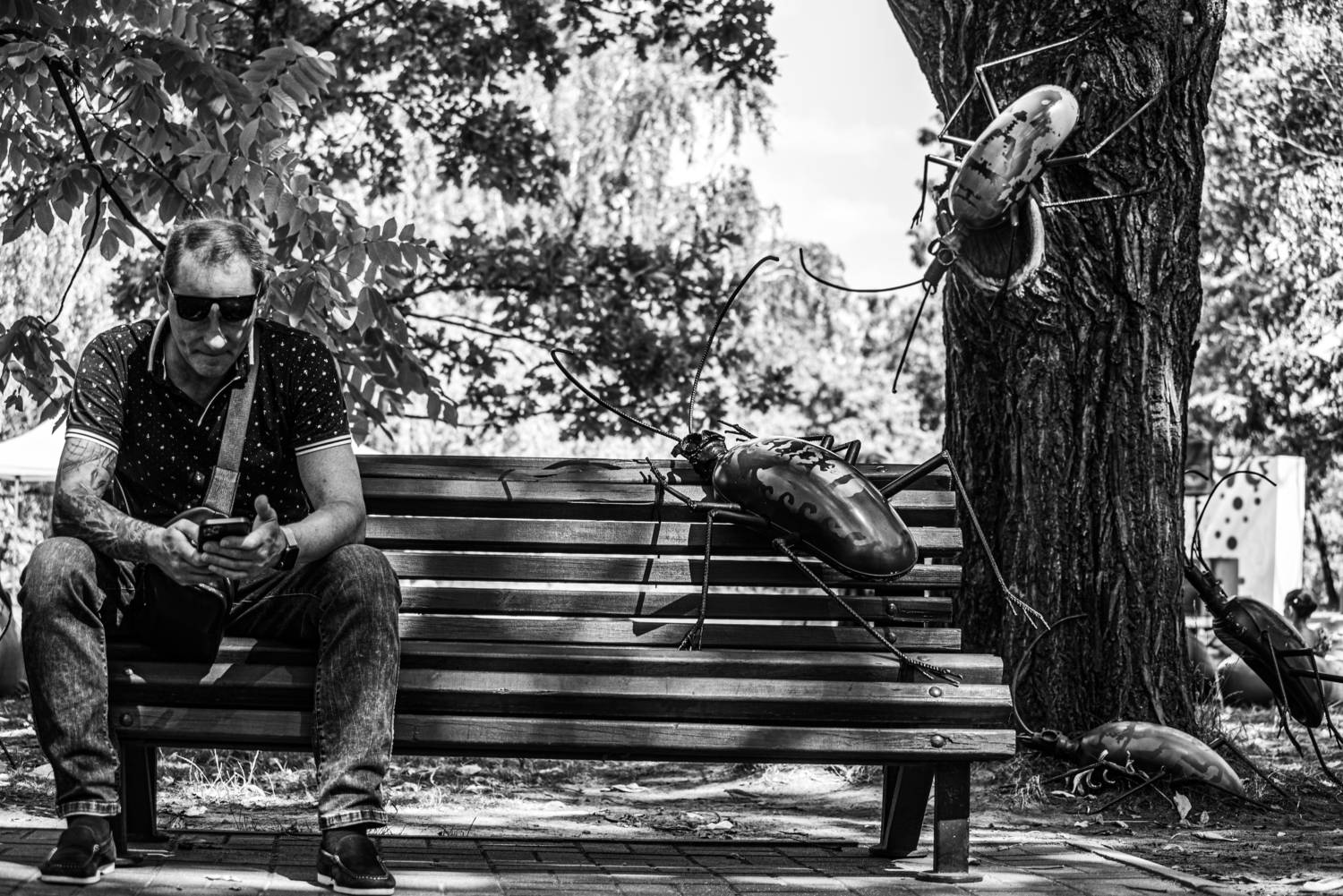 Фотография #10140135