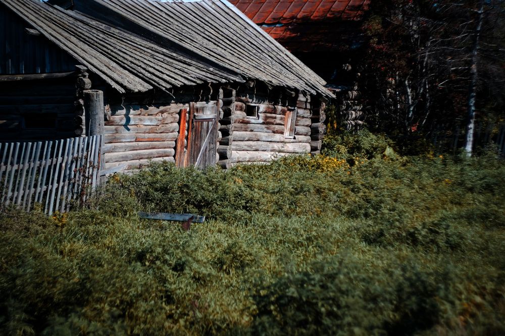 Photograph by Regina Gritsenko