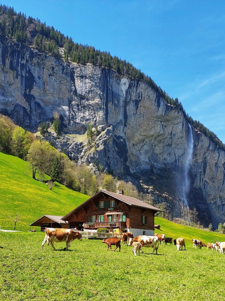 Photograph by Наталия Дроздова