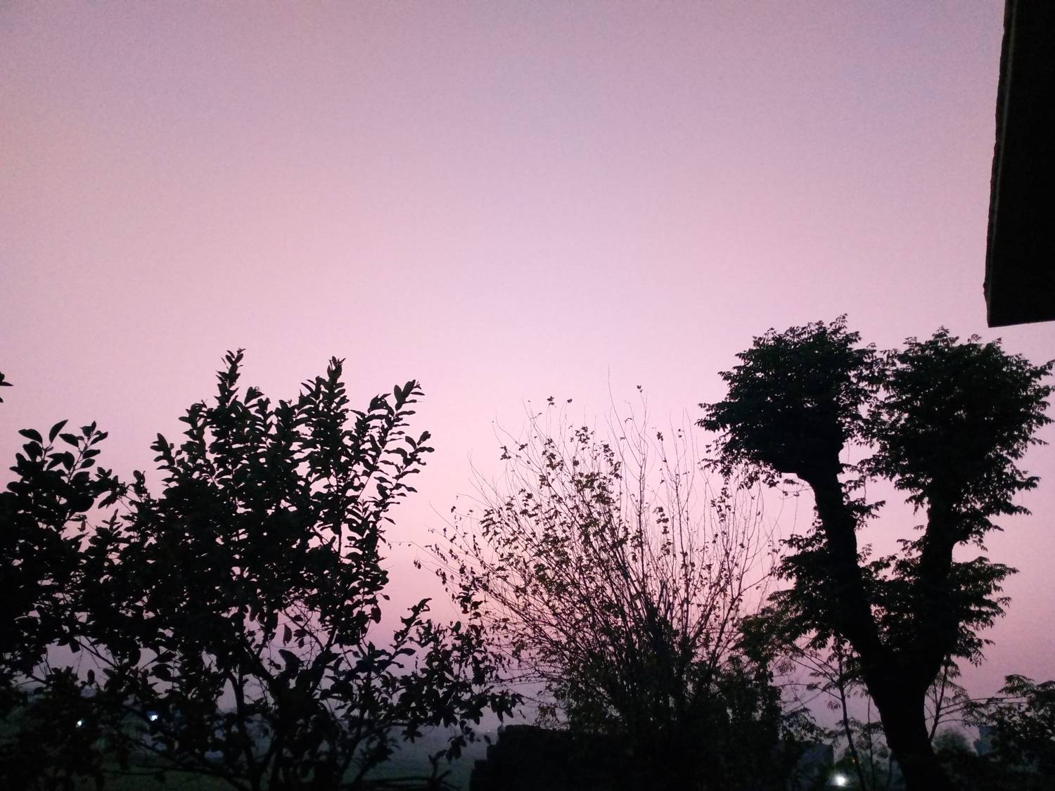 Photo #10140201
