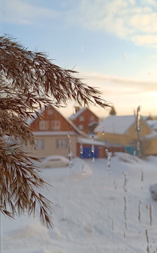 Фотография автора Ольга Кунакова