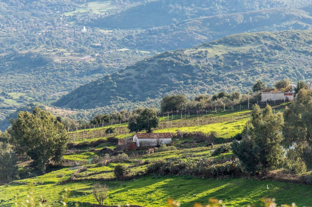 Фотография автора Ismail SAIDI